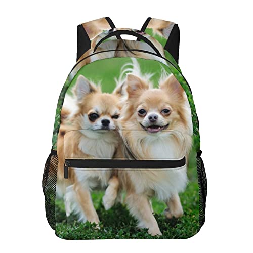 [RFSHOPWO] C̃`  bN fB[X Y rWlXbN A4 e PCobN ʊw ʋ y h l  Oo AEghA jp Z obNpbN }U[Y a v[g