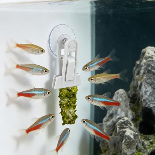 Tanque de peces sin restos gracias al clip para alimentación de algas 8
