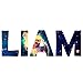 VWAQ Personalized Kids Name Space Wall Decal Custom Nebula Sticker Decor - Horizontal-GN10 (8