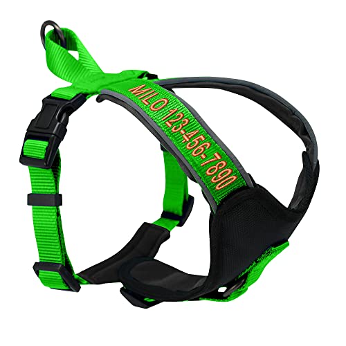 Pawtitas Reflective Padded Dog Harness for Large Dogs – Adjustable Step-in Vest | Fits Chest 27–33 in | No Pull Personalized Training Harness | L | Green