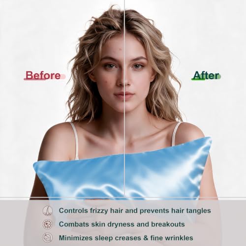 Image of LYSHIN Silk Pillow Cases 2 Pack Queen Size with Zipper, Sky Blue | 19 Momme Mulberry Silk Pillowcase for Skin and Hair, Anti-Acne, Hypoallergenic, Cooling, Beauty Sleep, Gifts for Women