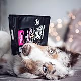 Tales & Tails® - Hunde Leckerlis aus 100% isländischem Lachs | Natürlich, Zuckerfrei, Getreidefrei, reich an Omega 3 | Kausnack Icebarks „Lachs doch mal“ von | 5 x 70g Tüten Hundesnack