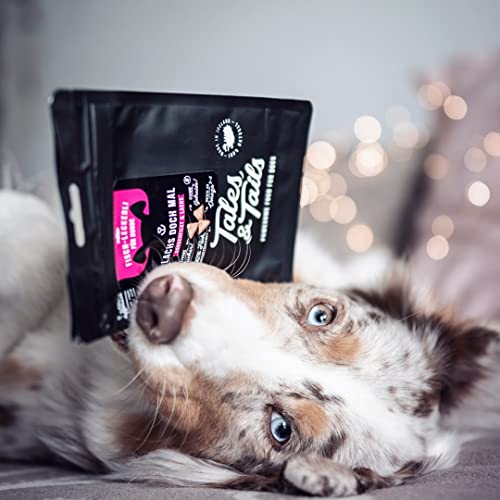 Tales & Tails® - Hunde Leckerlis aus 100% isländischem Lachs | Natürlich, Zuckerfrei, Getreidefrei, reich an Omega 3 | Kausnack Icebarks „Lachs doch mal“ von | 5 x 70g Tüten Hundesnack