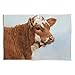 Stupell Industries Brown Dairy Cow Detailed Farm Animal Painting Wood Wall Art, Design By David Stribbling
