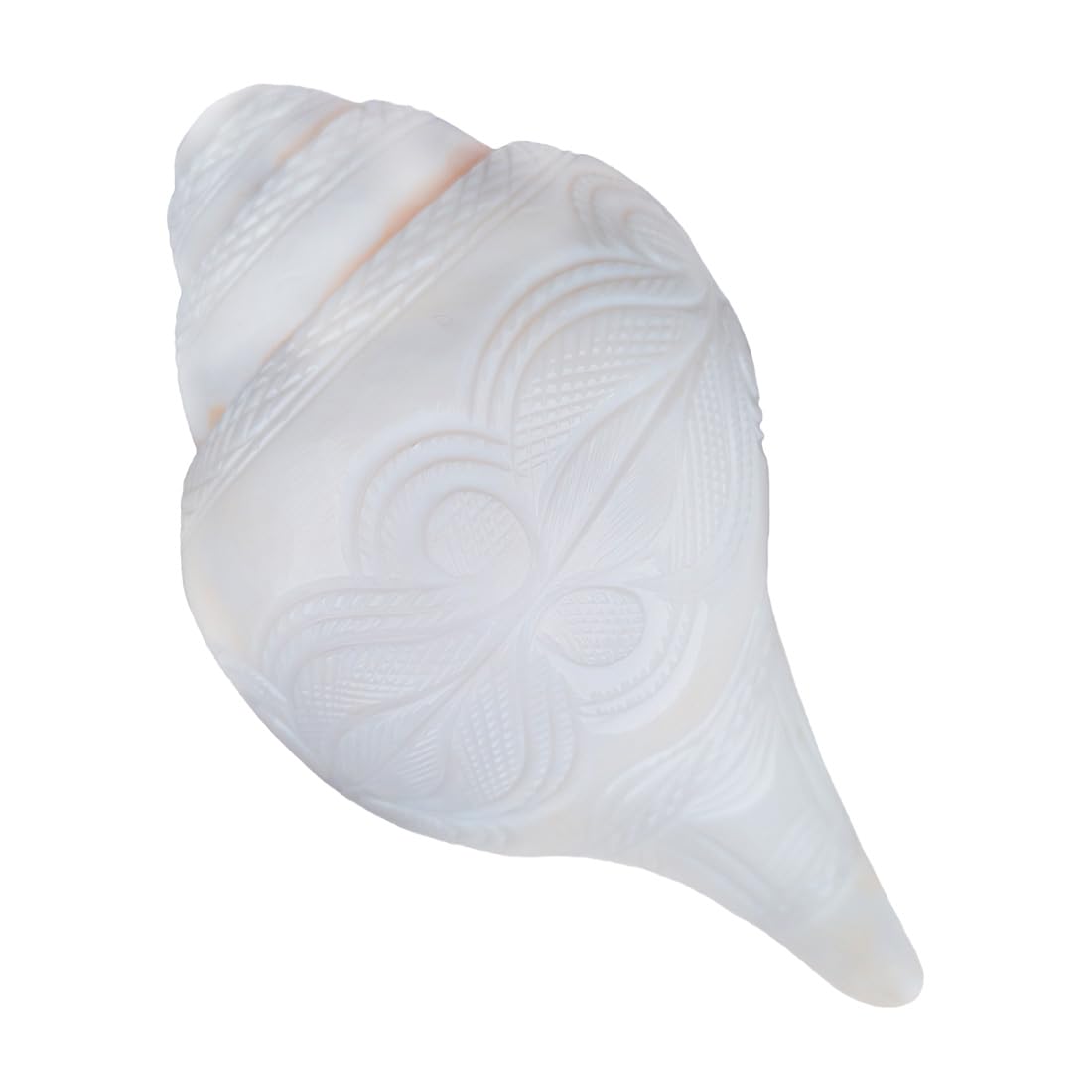 MAYAPURI Natural Loud Blowing Shankh for Pooja/Bajane Wala Shankha (White, Size: 7 inches) (B0CZ3F1C14) Amazon Price History, Amazon Price Tracker