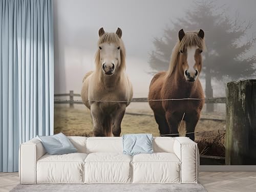 n uEz[X ǎ 쐶 pb`[N EH[XebJ[ ̂t ͂ V[ NX 350×250cm DIY V[g  CeA Q rO X  Ƌp K-532