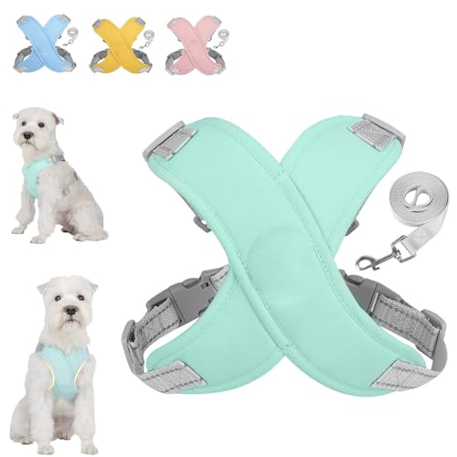 GIIPET 犬 ハーネス - X型 犬用胴輪 引っ張り防止 気管に優しい 負担軽減犬用ハーネス リード付き 夜間反射材 犬用胴輪ドッグ ペット用品 子犬 小型犬 中型犬 快適 通気性 軽量 調節可能 簡単着脱 散歩 犬 ハーネス 柴犬 秋田犬 訓練 ドッ