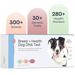 Basepaws Dog DNA Testing Kit – 300+ Breeds, 280+ Health Risks, and 30+ Traits – Comprehensive Health, Trait, and Mixed Breed Identification, Dog DNA Test kit, Test Dogs Genetic Ancestry and Heritage