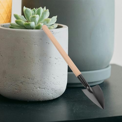 TOGEVAL 10 Juegos Mini Kit de Herramientas de Jardinería Portátil 3 Piezas Paleta, Pala y Rastrillo Pequeño de Metal y Mango de Madera para Trasplante y Cuidado de Plantas Interiores y - imagen 7