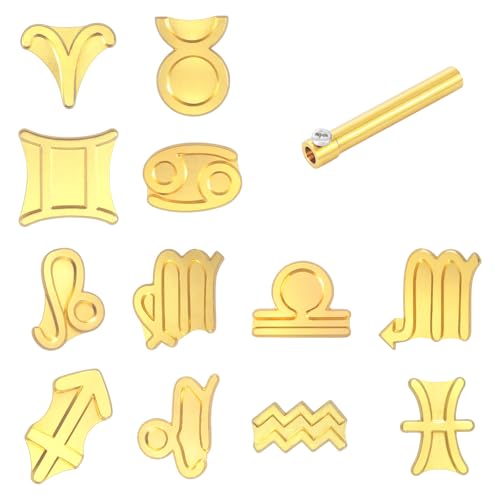 12 Pcs Wood Burning Tips Only, Woodburning Tips, Complete Wood Burning Tips, Wood Burning Kit for Beginners Wood Burner Tips for Branding and Personalization