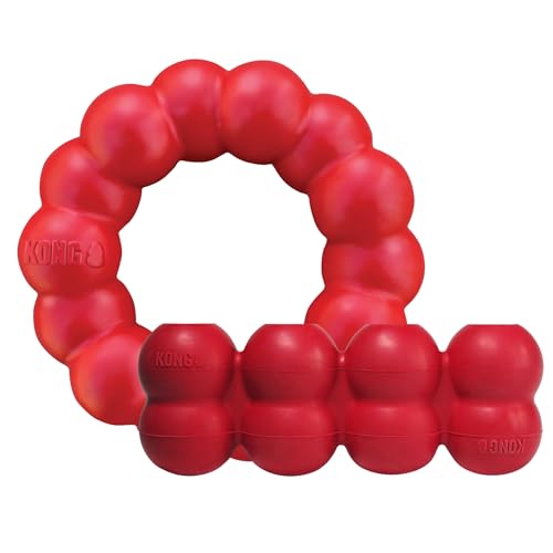 KONG Ring & Goodie Ribbon - Durable Rubber Treat-Dispensing Chew Toy for Dental Health - for Small Dogs