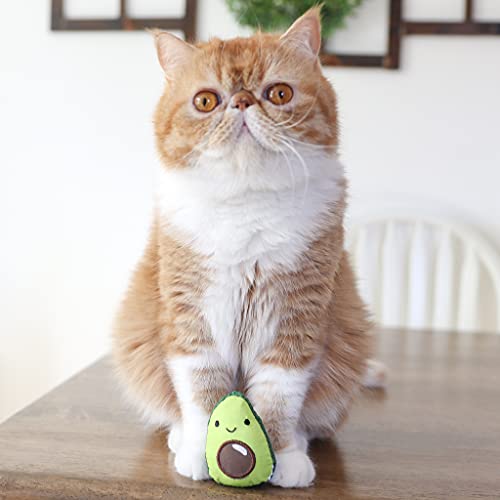 Catstages Lil' Avocato Dental Health Catnip Cat Chew Toy #TOP5