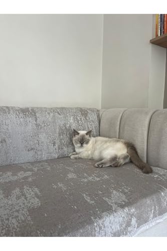 Koltuk Örtüsü Pamuk Bej 190 X 220