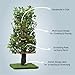 On2 Pets Cat Tree with Leaves Made in USA, Cat House & Cat Activity Tree, Multi-Level Cat Condo for Indoor Cats