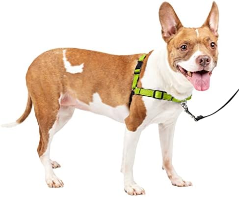 PetSafe Easy Walk Deluxe Dog Harness, No Pull Dog Harness – Perfect for Leash & Harness Training – Stops Pets from Pulling and Choking on Walks – Medium, Apple