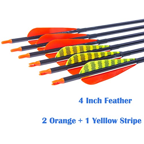 image for Pinals Traditional Archery 300 340 400 500 600 Spine Carbon Feather Ar