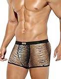 Arjen Kroos Men's Sexy Mesh Trunks Underwear Soft Breathable Boxer Briefs,GREY TIGER-AK3028,Medium