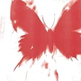 WHERE DID ALL THE BUTTERFLIES GO? [Explicit]