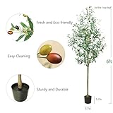 Olive Trees Artificial Indoor 6ft - Fake Olive Tree for Home Office Decor, Realistic Silk Leaves with Resin Trunk, Indoor Potted Tree for Living Room, Hotel, Lobby, Height Adjustable (Green Tree). - Image 4