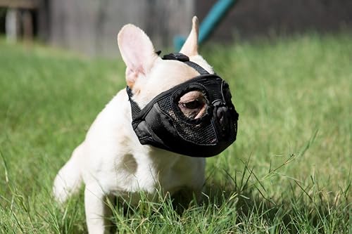Image of Short Snout Dog Muzzles- Adjustable Breathable Mesh Bulldog Muzzle for Biting Chewing Licking Training Grooming Dog Mask (Black, Small /9 inch-12 inch)