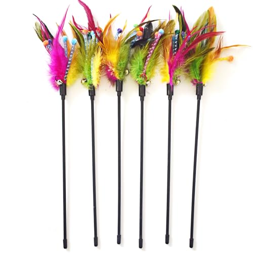 Cat Wands, 6 PCS Natural Feather Stick Interactive Kitten Toys with Bell Safe Cat Teaser Wand for Indoor, All Breed Sizes