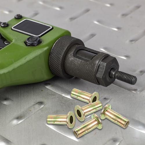 Écrous à rivets multi-prises 1/4-20 insert fileté acier tête plate taraudée - 5