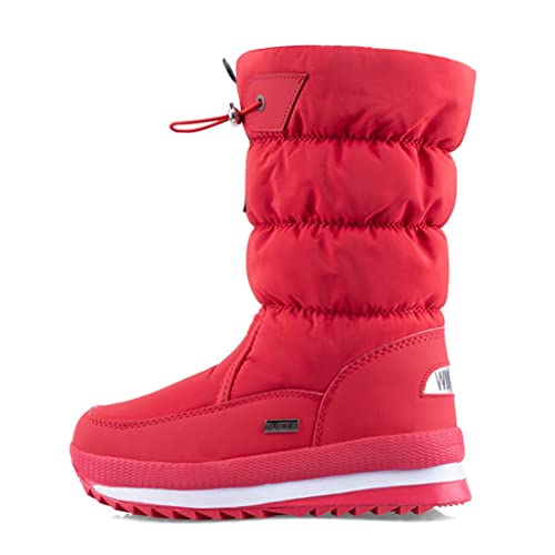 [SEINIES] h ~C Xm[u[c C fB[X   ۉ AEghAV[Y  EFbW\[ EhgD L ɂȂ NbV ~ ϊ H h 傫TCY