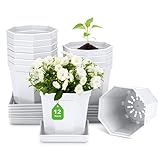 Qualitätsmaterial: Der Anzuchttöpfe Blumentopf ist aus einem massiven Kunststoff (PP) ausgeführt, der gegen Verformungen beständig. Langlebige und umweltfreundliche Materialien, wiederverwendbar. Diese Pflanztöpfe werden Sie sicher ein Leben lang begleiten!