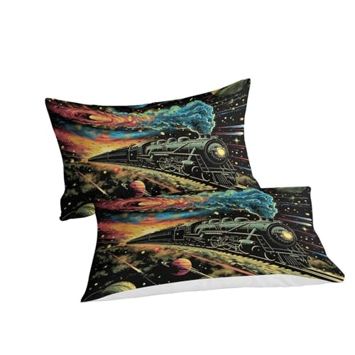 Parure de lit double train 3D en microfibre super douce avec housses de couettes - 3
