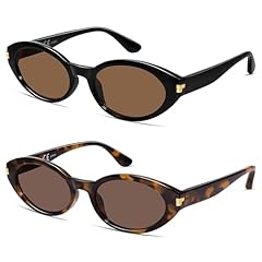 C04-brown+tortoise