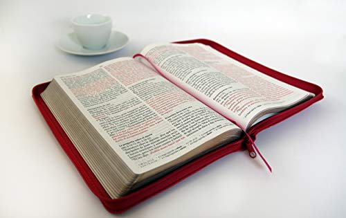 Biblia Reina Valera 1960 letra grande. Símil piel fucsia, cremallera, tamaño manual / Spanish Holy B