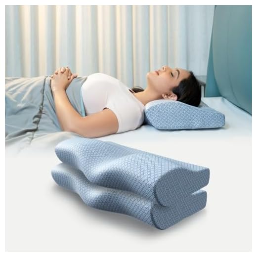 WELLGIVER ComfortCloud Orthopedic Memory Foam Pillows | Cervical Pillow for Neck and Shoulder Pain with Removable Zipper Blue Cover | Standard | 19x11x4 Inch | Pack of 2