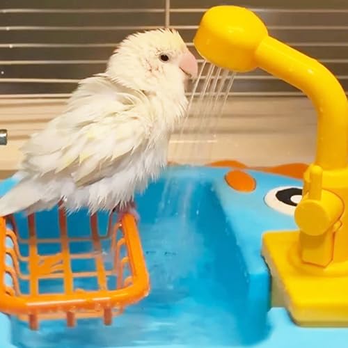 Baignoire à oiseaux automatique en ABS pour grands perroquets - 8