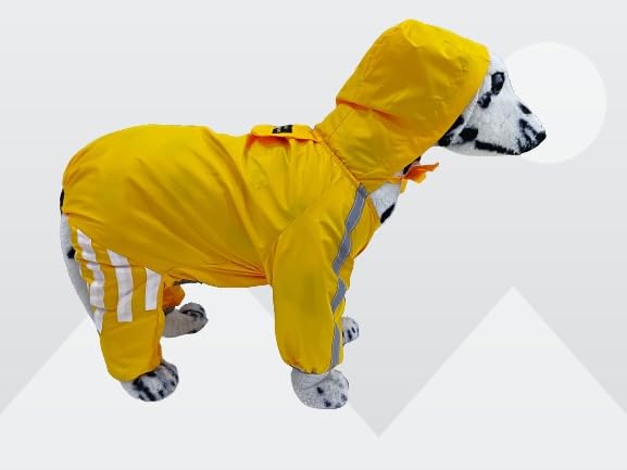 Dog Raincoats Rain Snow Coats Waterproof Clothing 4 Four Legs Design by bhumi Enterprises (Dog Raincoat) 3Mi Patti (12, RED) (B0D3FG722D) Amazon Price History, Amazon Price Tracker