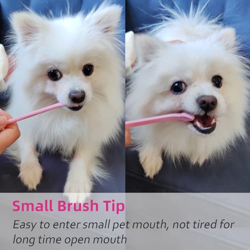 Image of Cat Dog Toothbrush Puppy Tooth Brushing Kit Cat Dental Healthy Pink Teeth Brush for Dogs Dental Hygiene Toothbrush for Pet Kitten Bunny 1 Piece