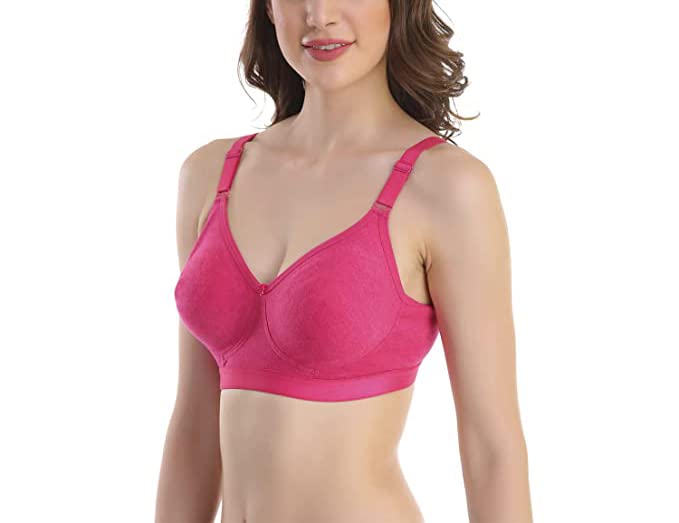 Image of SKDREAMS Blue & Brown & Purple-32D Cotton Blend Seamless Non Padded Non-Wired Full Coverage Pack of 3 Women T-Shirt Bra Combo