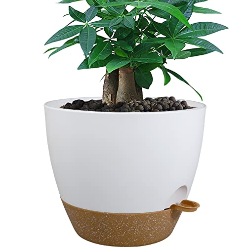 Comparison: Best Pot For Peace Lily 11 UOUZ 12 inch Large Self Watering Pots, Plastic Planters with 60oZ Removable Deep Reservoir and Multi Mesh Drainage Holes for Indoor Outdoor Garden Plants and Flowers, White with Brown