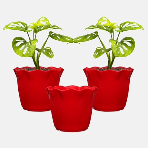 Image of YUCCABE ITALIA SHERA 6 Inch Plastic Flower Pot 3 Piece Set of Unbreakable Round Shape Planter for Home Garden Seedling, Indoor and Outdoor (Red)