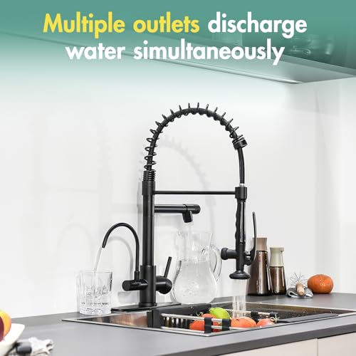 Image of Fapully Commercial Kitchen Faucet with Drinking Water Faucet Matte Black