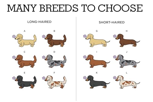 Custom Embroidered Dachshund Sweatshirt with Dog Name on Sleeve, Crewneck Sweatshirt, Wiener Dog Gift, Dachshunds Sweater for Women, Dachshund Mom Gifts, Wienie Shirt2