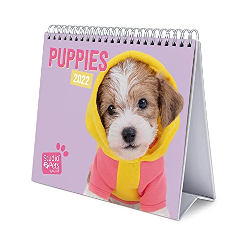 Grupo Erik Calendario escritorio Deluxe 2022 Studio Pets Dogs-Calendario 2022 sobremesa-Calendario 2022 perros │ Calendario animales-Calendario mesa 2022-Calendario anual-Licencia Oficial
