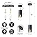 LINSEEDS 2-Pack Black Pendant Light Fixtures, Adjustable Modern Pendant Lights for Kitchen Island, Industrial Glass Pendant Lights for Dining Table Hallway Bedroom Living Room