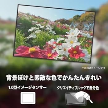 Amazon.co.jp: SONY(ソニー) コンパクトデジタルカメラ VLOGCAM