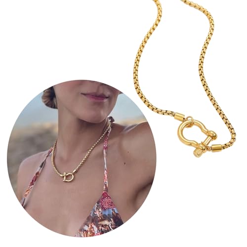 Collar con mosquetón de acero titanio y chapado en oro premium 2