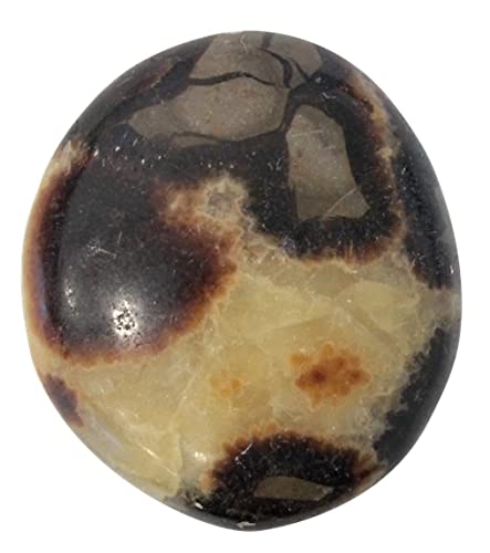 Galet Septaria - Pièce de 4 à 6 cm