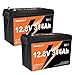 2 Packs 12V 300Ah (314Ah) LiFePO4 Lithium Battery 4019Wh 15000+ Deep Cycle Low Temp Cut-Off Rechargeable RV Battery Perfect for Off Grid Applications Camping Marine Boat Solar System