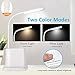 LED Desk Lamp, NovoLido Rechargeable Lamp with USB Charging Port/Pen Holder/Phone Holder, Small Study Cute for Kids/Home/Office/Dorm, Flexible Portable Bedside Table Reading (White)