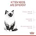 Royal canin - Kitten 400 gr