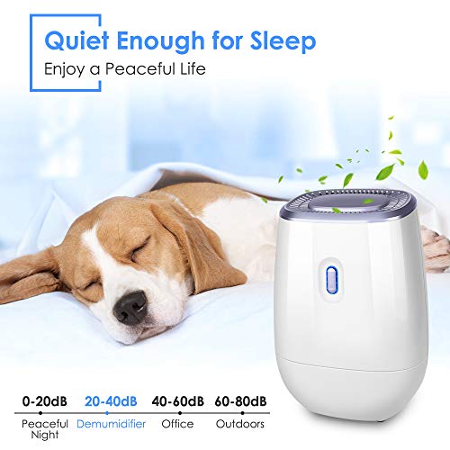 Dehumidifier - 41oz Capacity Electric Dehumidifier,Portable Mini Air Dehumidifiers, Auto Quiet up to 220 sq ft, Anti Overflow Dehumidifier for Home Bathroom Bedroom Closet Office Basement