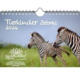 Seelenzauber